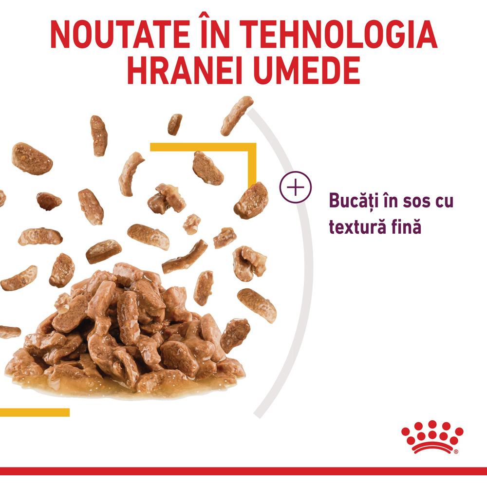 Hrana umeda pentru pisici ROYAL CANIN FHN Sensory Taste Gravy, Adult, 85 g
