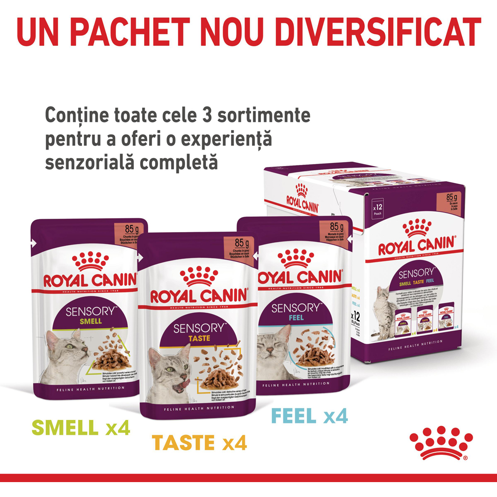 Hrana umeda pentru pisici ROYAL CANIN FHN Sensory Taste Gravy, Adult, 85 g