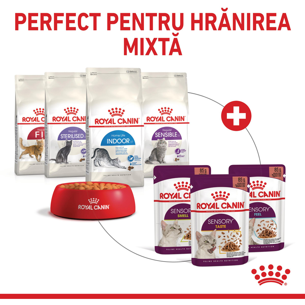 Hrana umeda pentru pisici ROYAL CANIN FHN Sensory Taste Gravy, Adult, 85 g