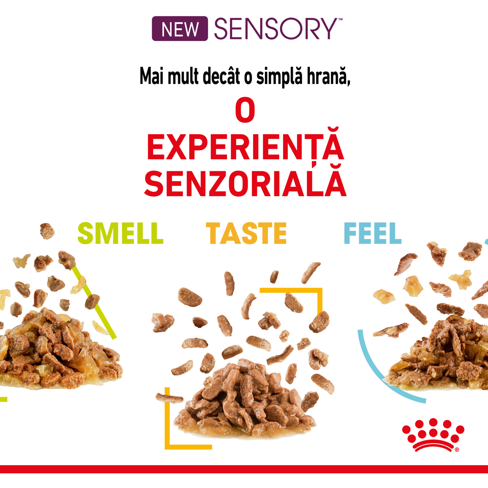 Hrana umeda pentru pisici ROYAL CANIN FHN Sensory Feel Gravy, Adult, 85 g
