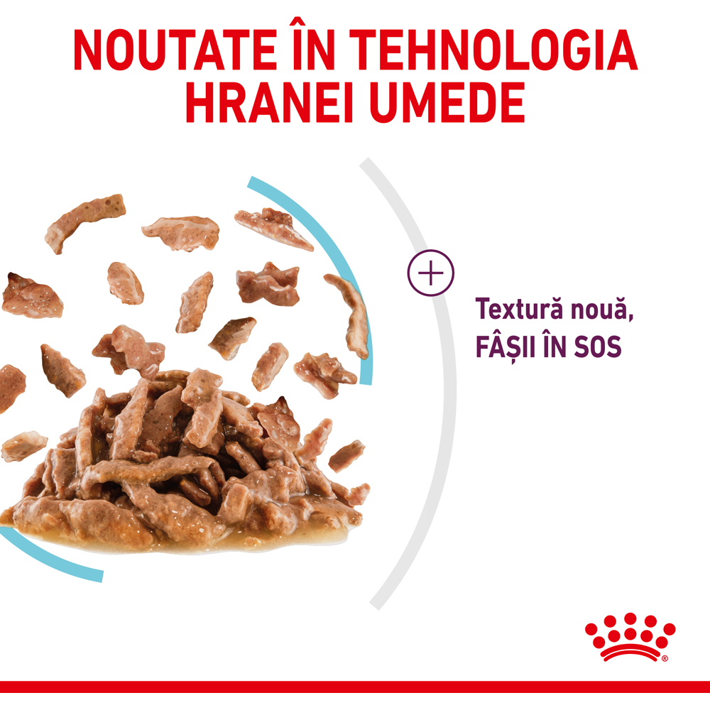 Hrana umeda pentru pisici ROYAL CANIN FHN Sensory Feel Gravy, Adult, 85 g