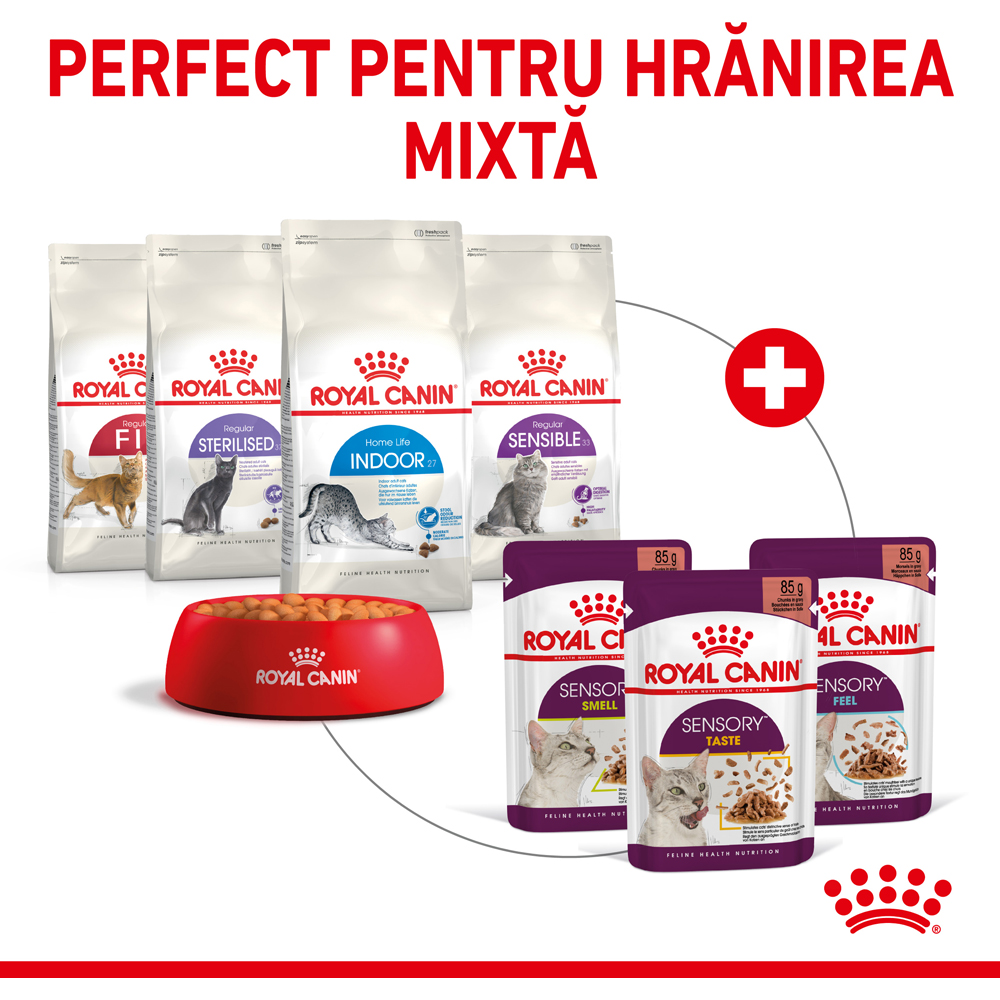 Hrana umeda pentru pisici ROYAL CANIN FHN Sensory Feel Gravy, Adult, 85 g