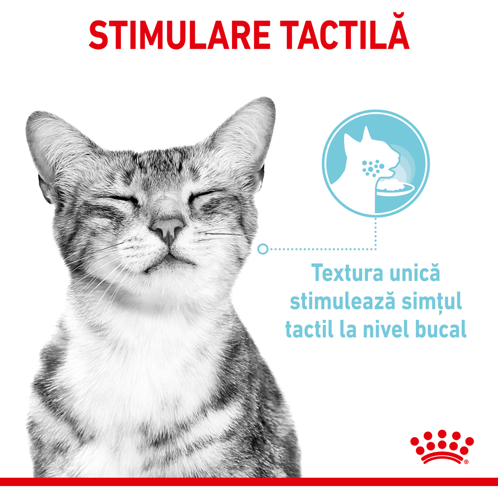 Hrana umeda pentru pisici ROYAL CANIN FHN Sensory Feel Gravy, Adult, 85 g