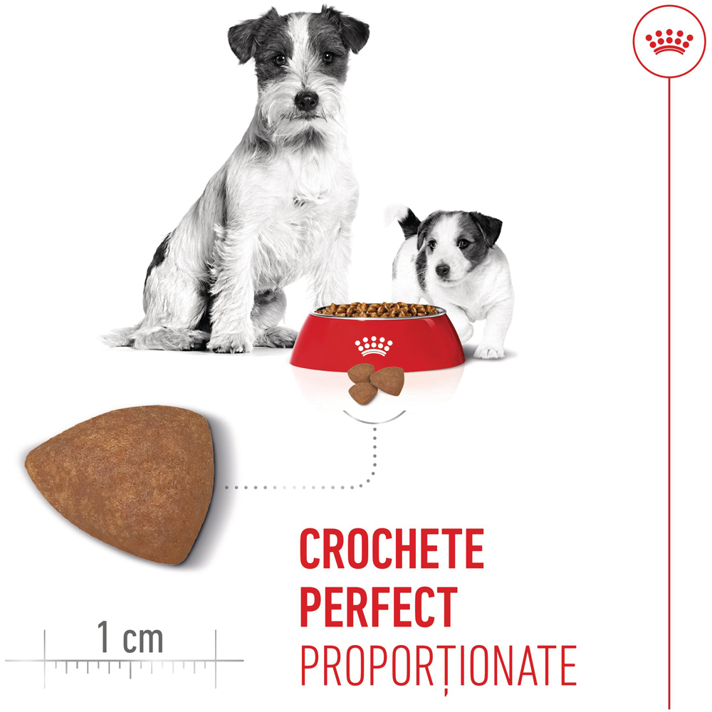 Hrana uscata pentru caini ROYAL CANIN MINI Starter Mother & Babydog, Junior, Pasare, 8 kg