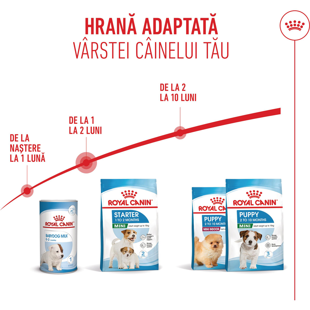 Hrana uscata pentru caini ROYAL CANIN MINI Starter Mother & Babydog, Junior, Pasare, 8 kg