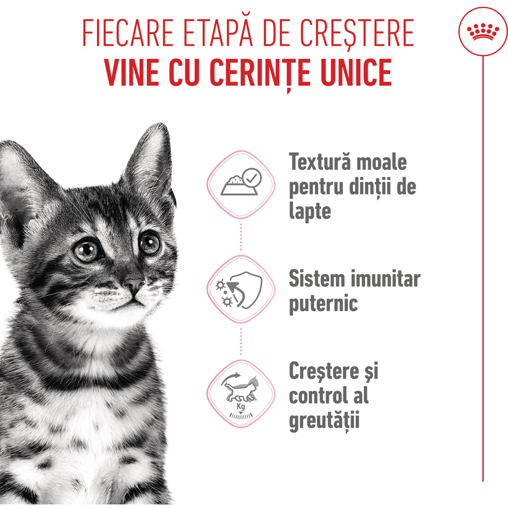 Hrana umeda pentru pisici ROYAL CANIN FHN Sterilised Gravy, Junior, 85 g