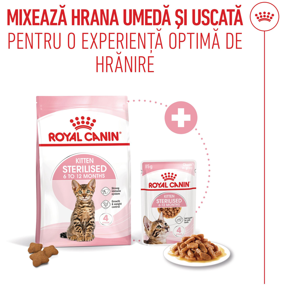 Hrana umeda pentru pisici ROYAL CANIN FHN Sterilised Gravy, Junior, 85 g