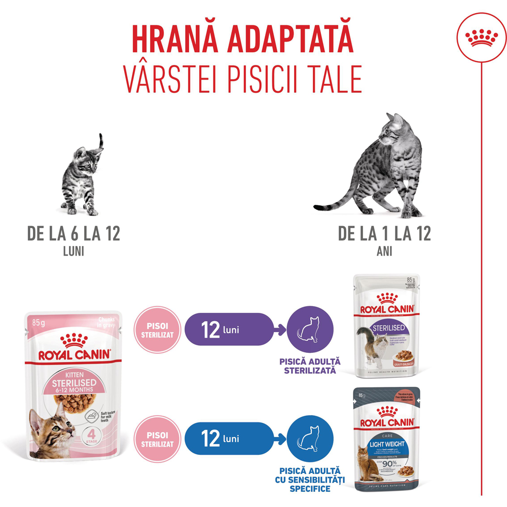 Hrana umeda pentru pisici ROYAL CANIN FHN Sterilised Gravy, Junior, 85 g