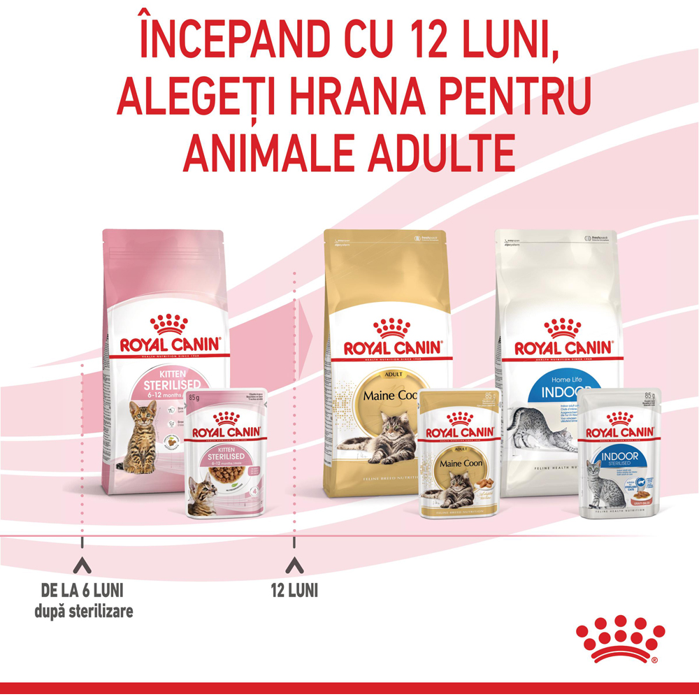 Hrana umeda pentru pisici ROYAL CANIN FHN Sterilised Gravy, Junior, 85 g