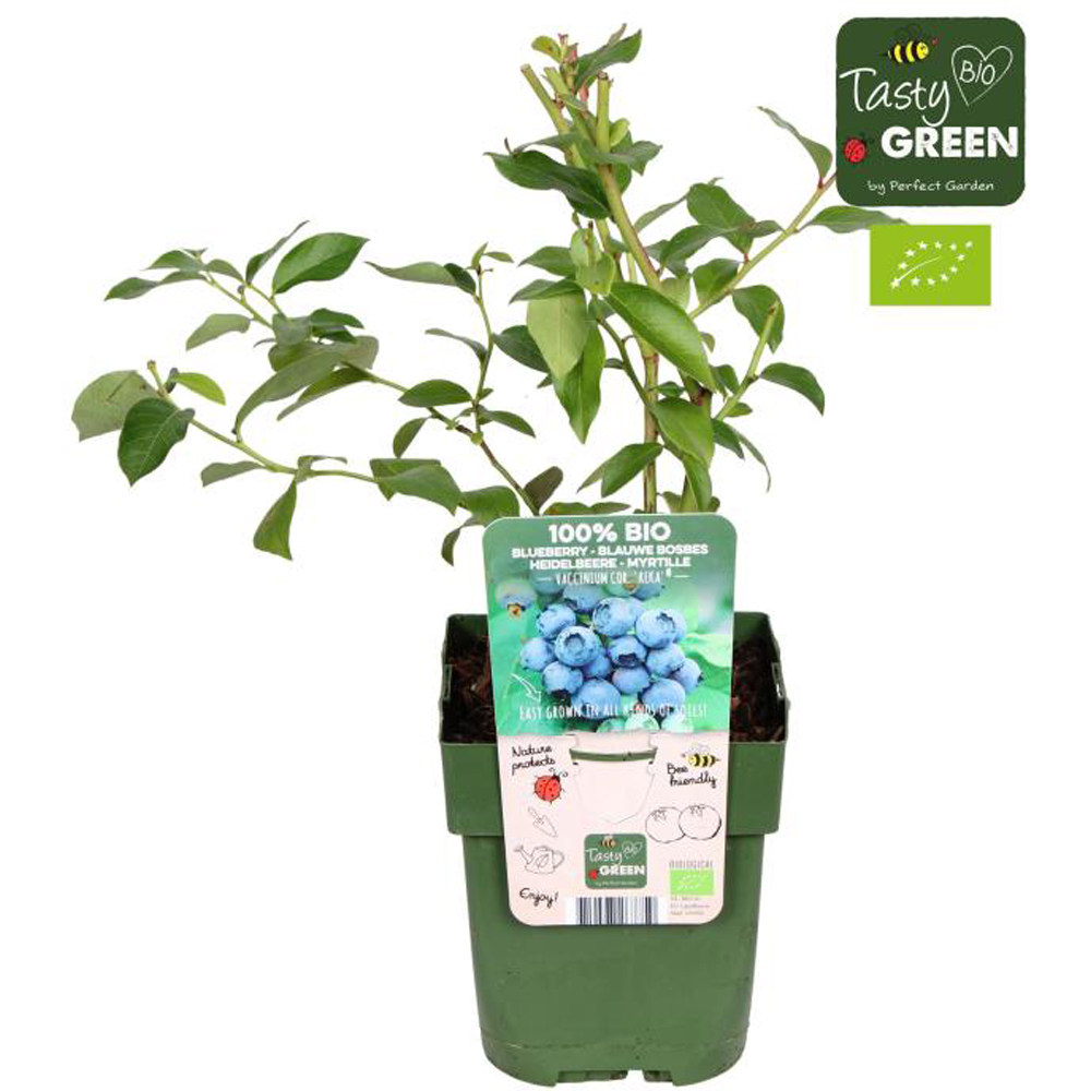 Afin Reka Bio, D 13 cm, H 30 cm