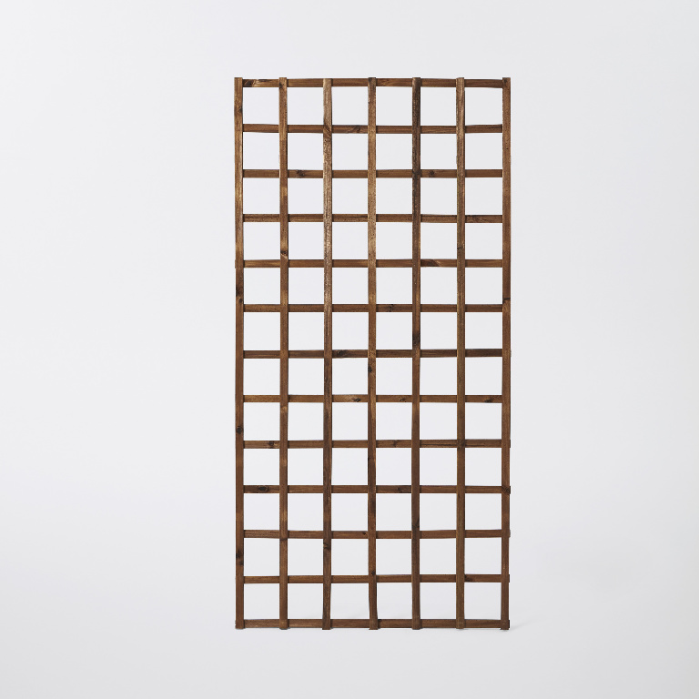 Spalier de gradina, lemn, 180 x 90 cm