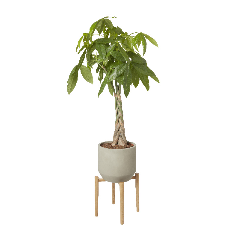 Ghiveci flori GOODHOME, argila, D 27.4 cm, gri