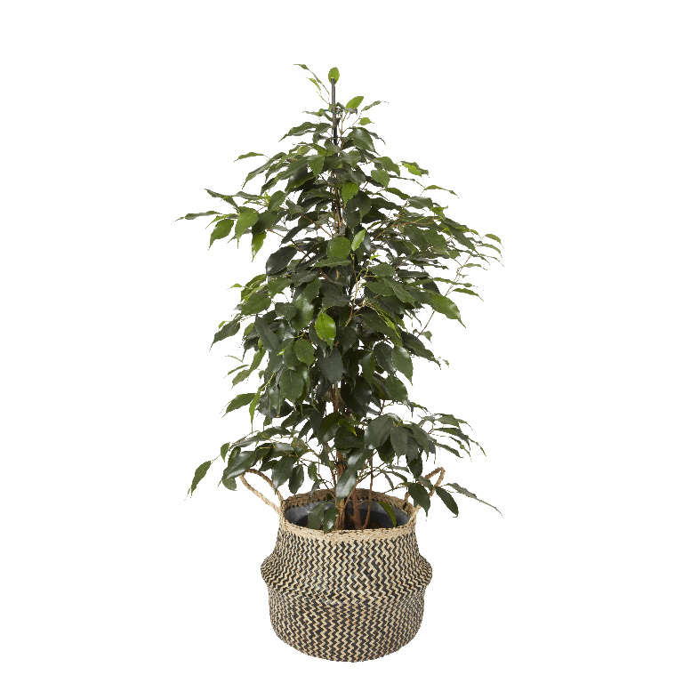 Cos pentru ghiveci din iarba de mare, negru, forma rotunda, 25 cm diametru  GoodHome