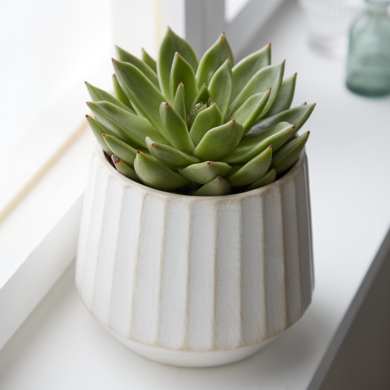 Ghiveci flori VERVE, teracota, D 16 cm, bej