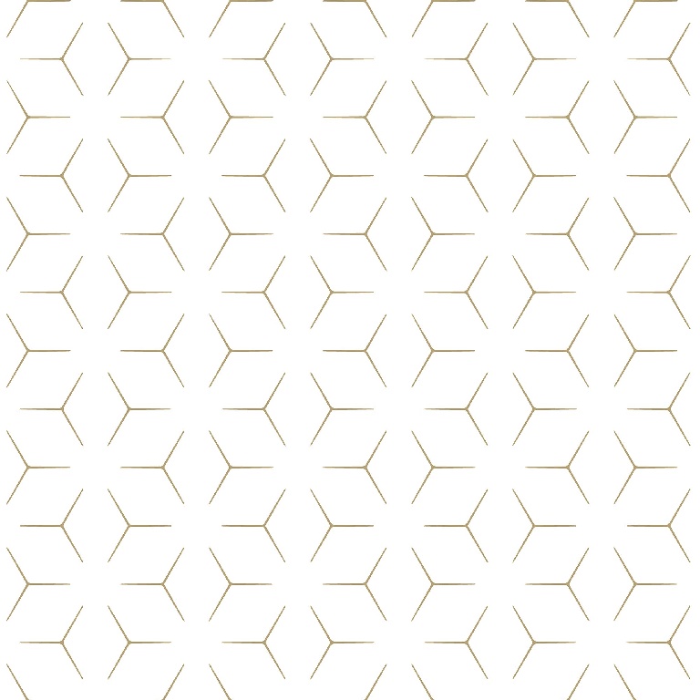 Tapet duplex, 0.53 x 10.5 m, multicolor, mat