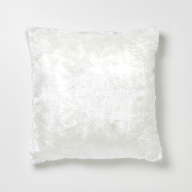 Perna alba, 45 x 45 cm  Nacre