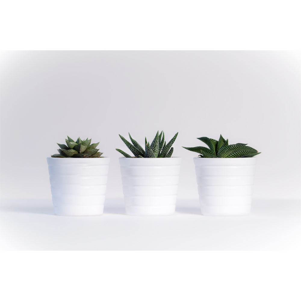 Autocolant VENILIA, PVC, 90 x 100 cm, alb