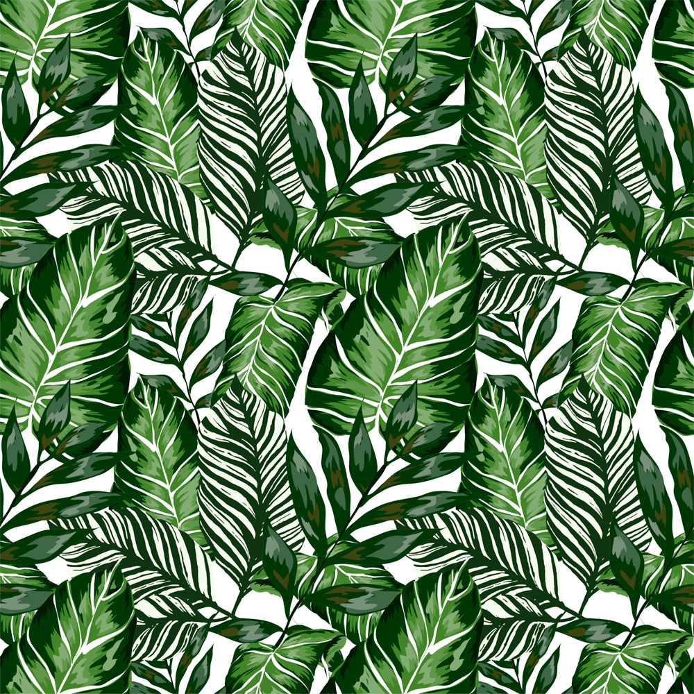 Autocolant VENILIA Plante, PVC, 67.5 x 200 cm, verde