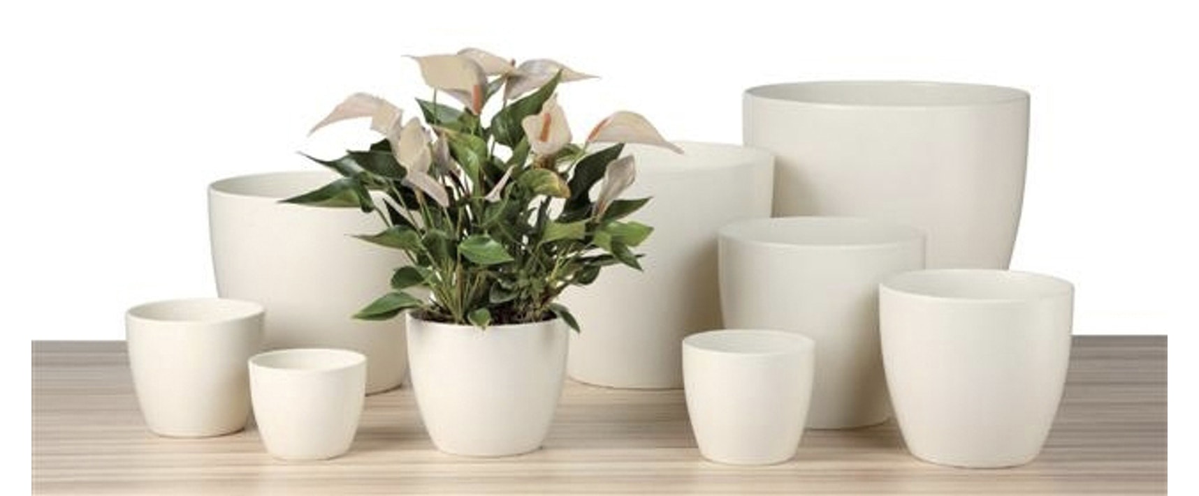 Ghiveci flori SCHEURICH, ceramica, D 11 cm, alb
