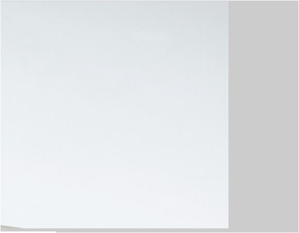 Geam sintetic Gutta, 200 x 100 x 0.25 cm, transparent