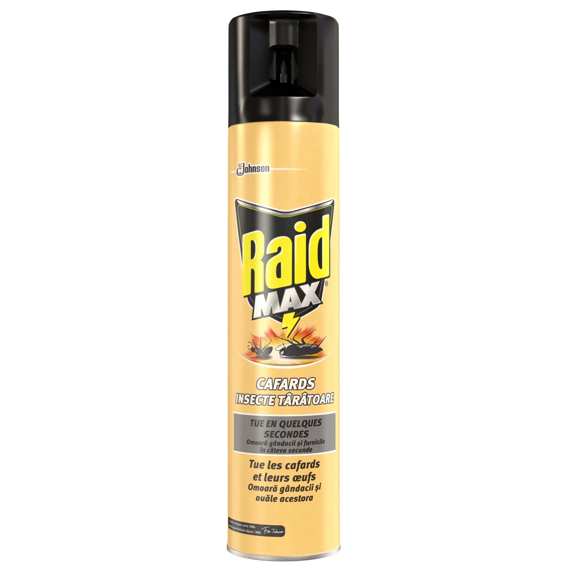 Spray impotriva gandacilor si furnicilor, 300 ml  Raid