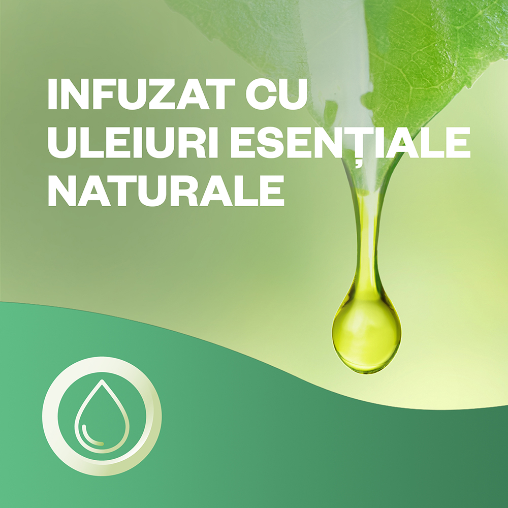 Rezerva odorizant de camera automat AIR WICK Freshmatic, Iasomie & Frezie, 250 ml