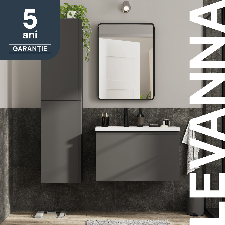 Masca lavoar GoodHome Levanna, suspendata, 80 x 45 x 48 cm, antracit