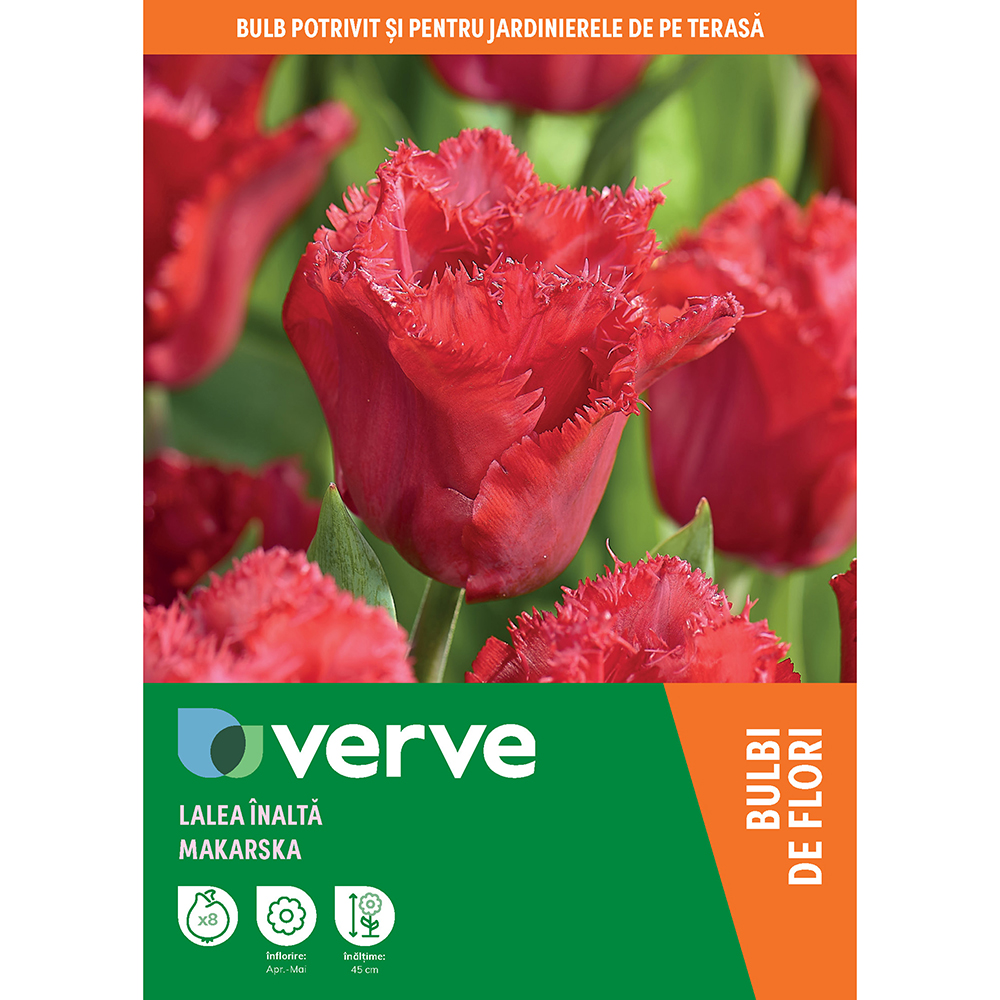 Bulbi VERVE Lalea Makarska, 8 bucati, rosu