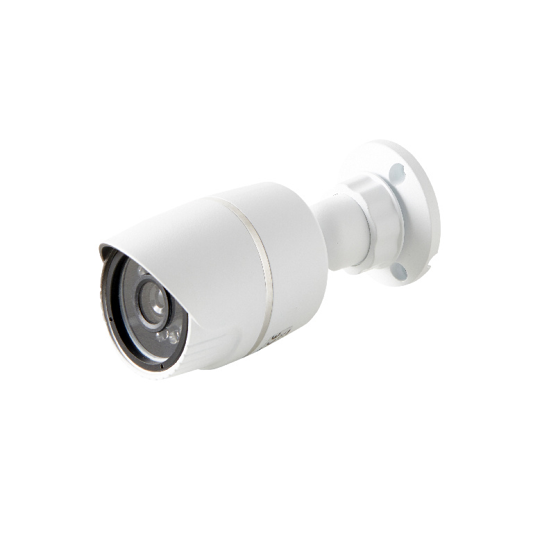 Camera supraveghere falsa, exterior cu led   Chacon