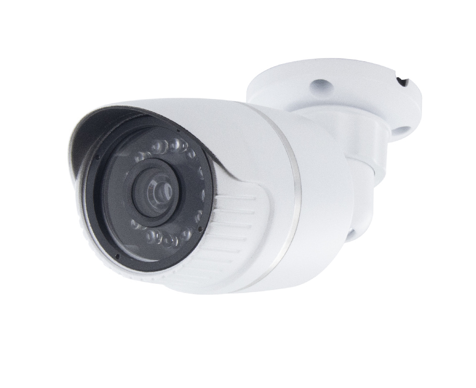 Camera supraveghere falsa, exterior cu led   Chacon