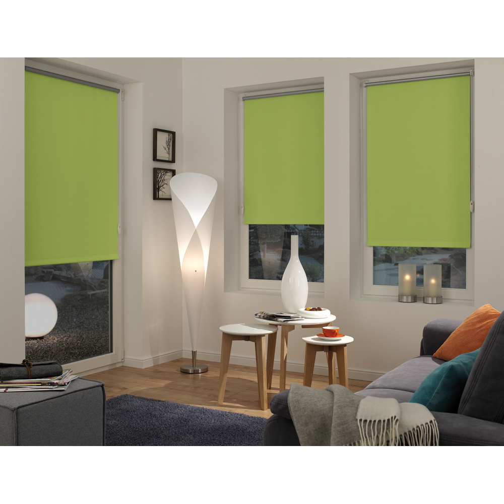 Rulou GARDINIA, opac, poliester, 60 x 150 cm, verde
