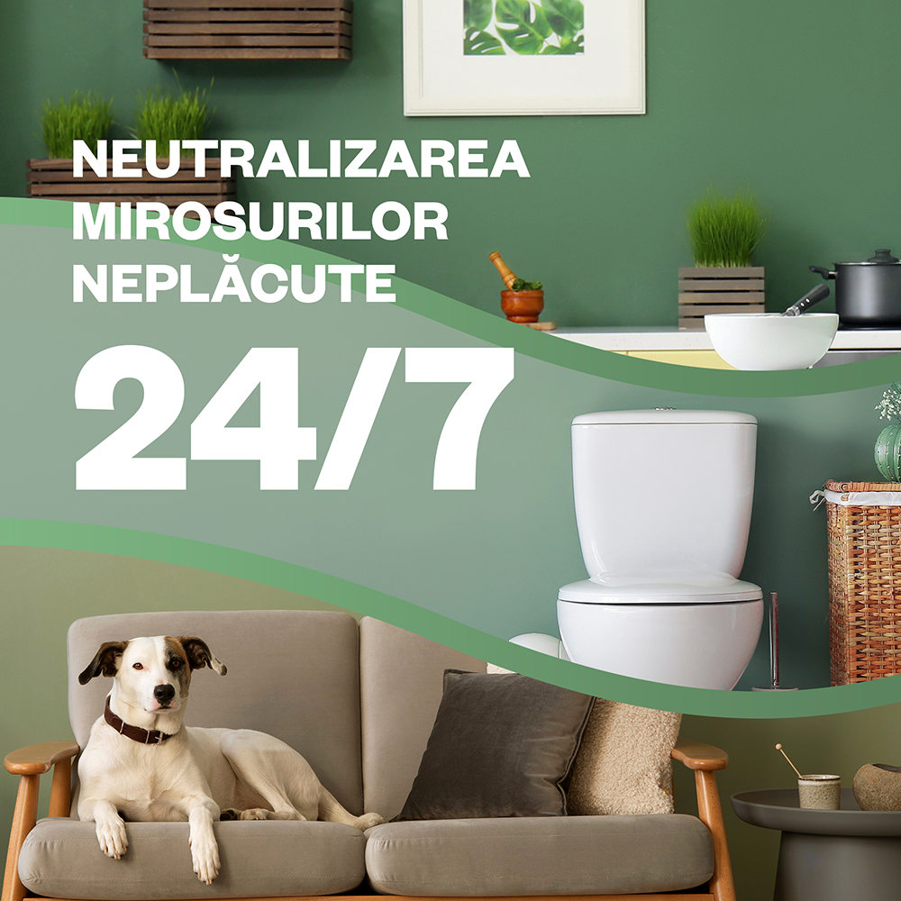 Set rezerve odorizant de camera electric AIR WICK, Piersici si Caise, 2 x 19 ml