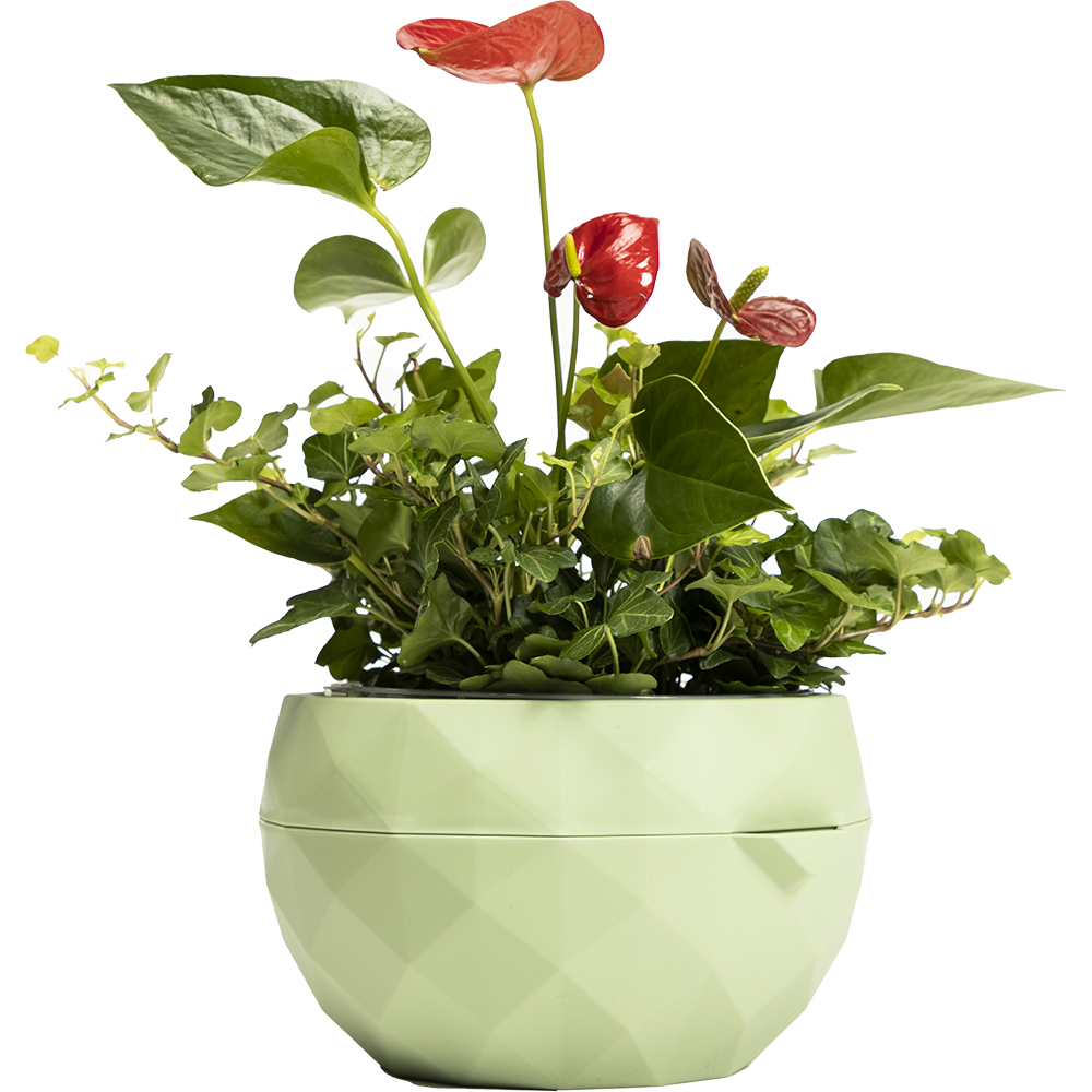 Ghiveci Allium, 20 cm, verde olive