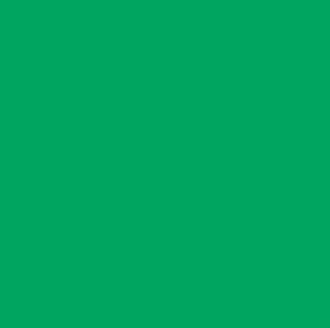 Email ROST cu uscare rapida, 0.6L, verde iarba