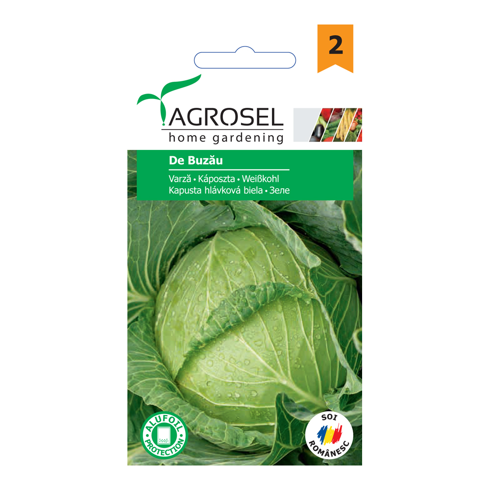 Seminte varza Buzau  Agrosel
