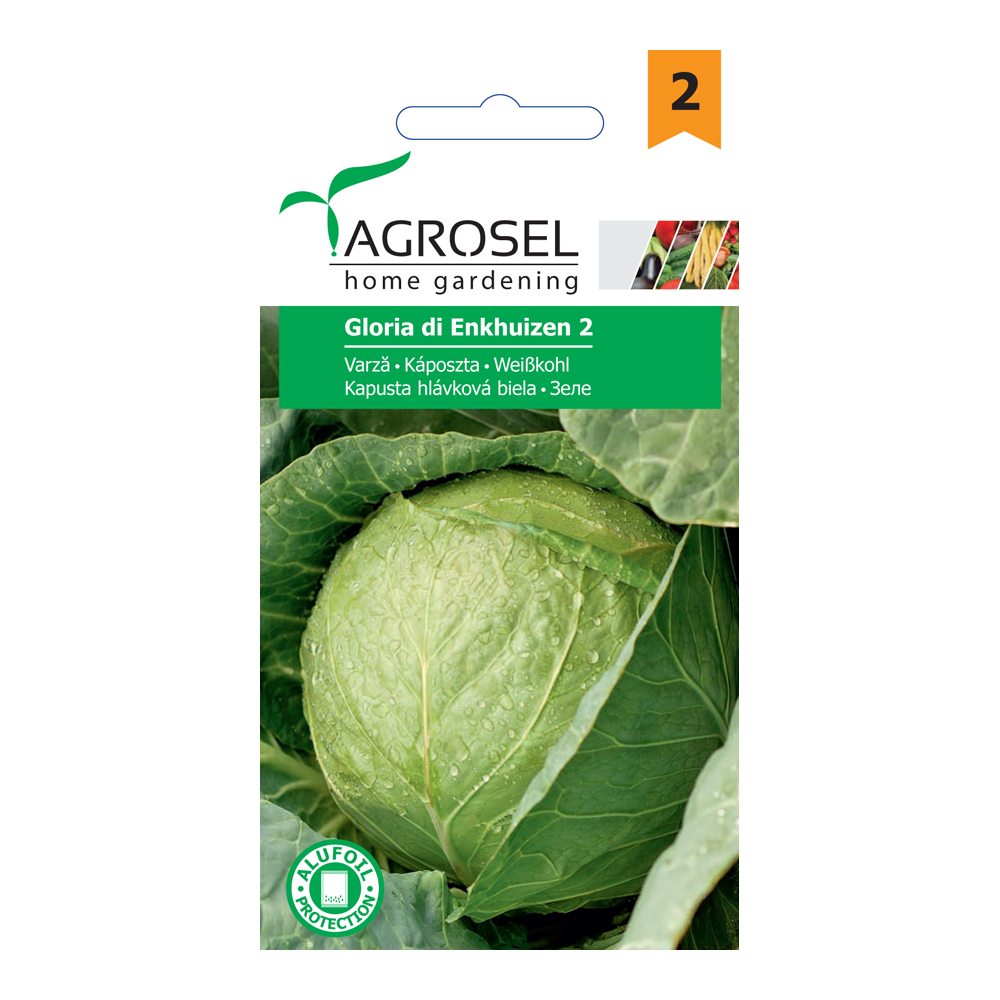 Seminte varza Gloria Di Enkhuizen 2  Agrosel