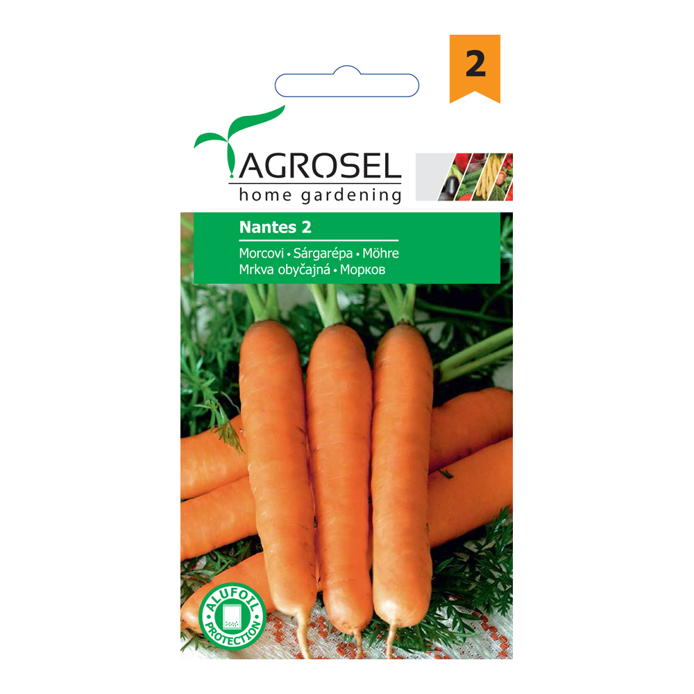 Seminte morcovi Nantes 2  Agrosel