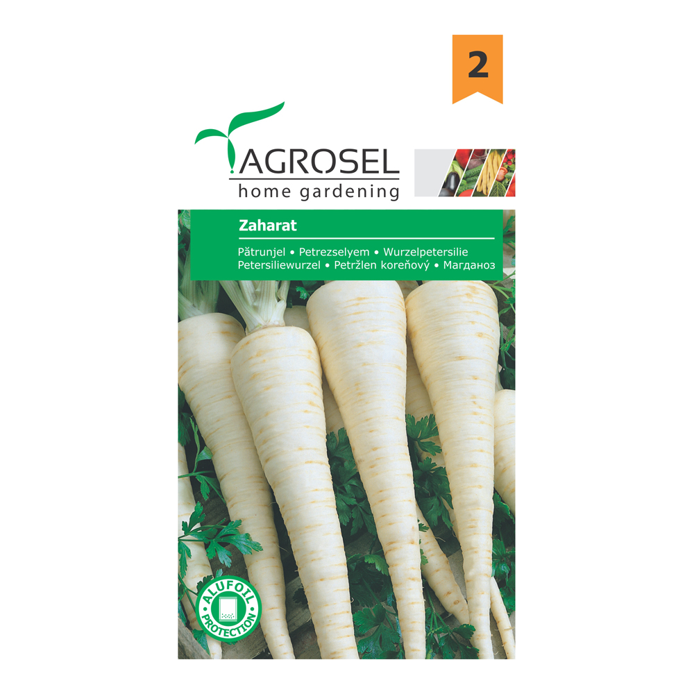 Seminte patrunjel de radacina zaharat  Agrosel