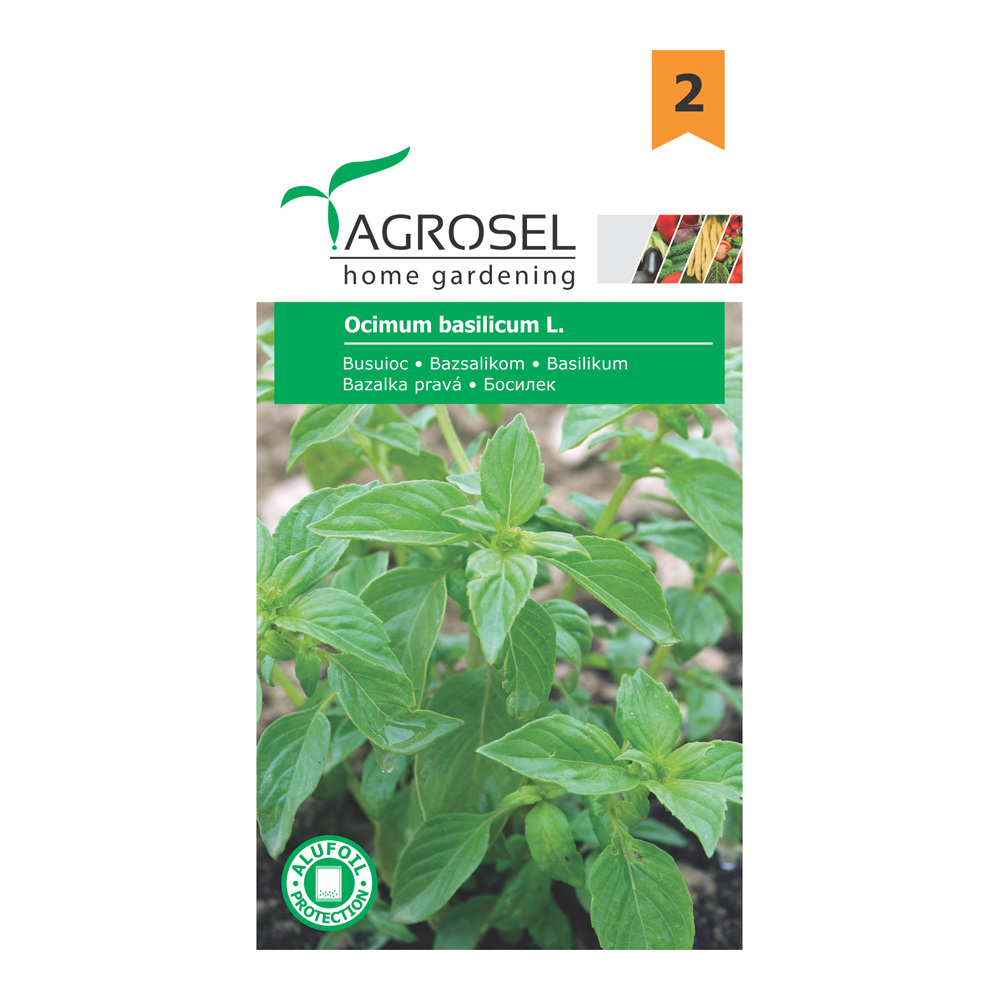 Seminte busuioc  Agrosel