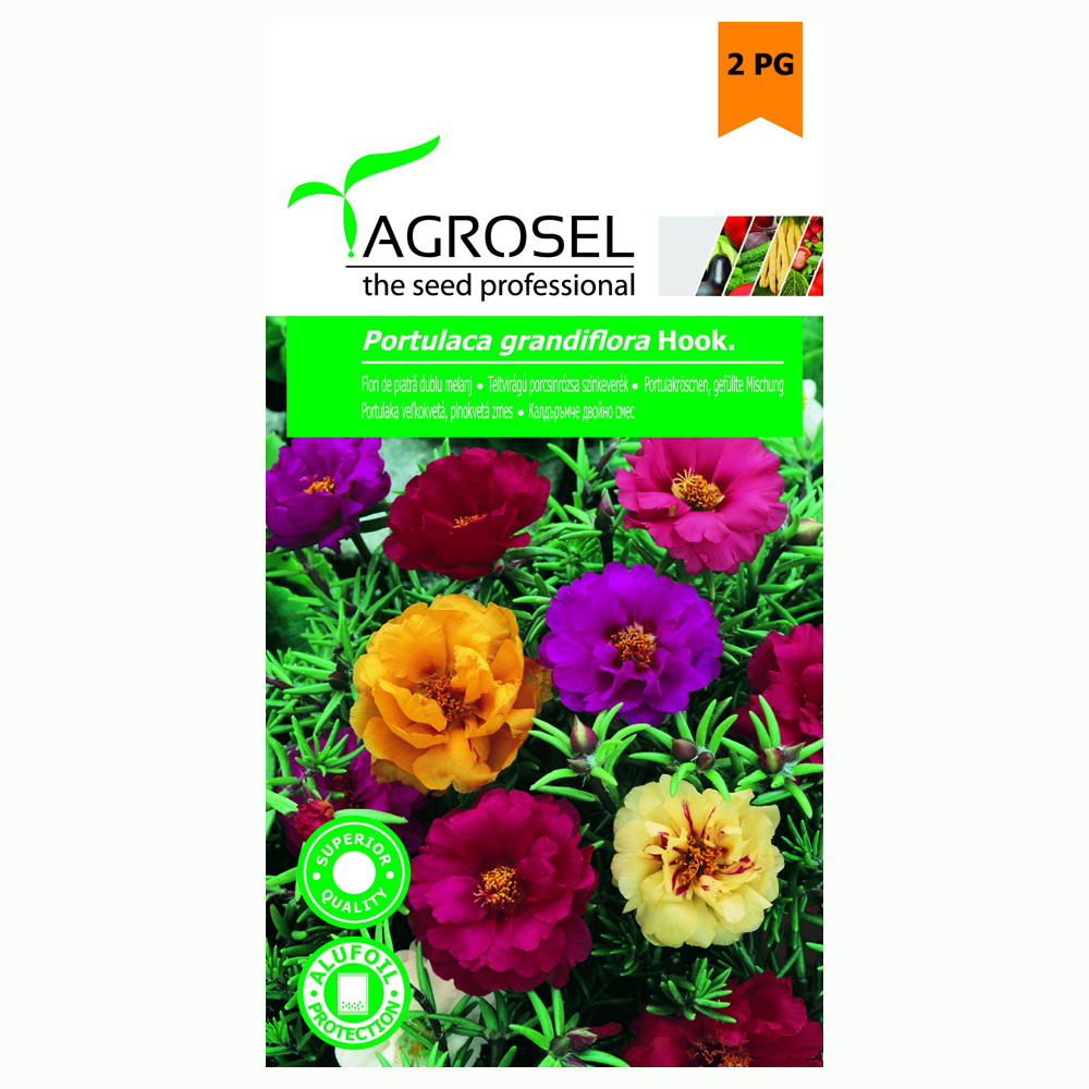 Seminte flori piatra  Agrosel
