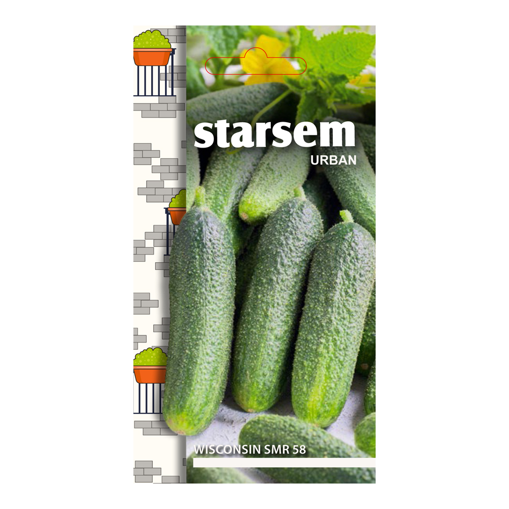 Seminte castraveti, Wisconsin  Starsem
