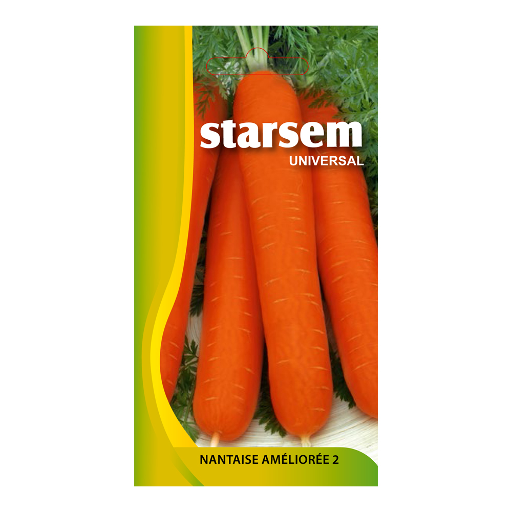 Seminte morcovi Nantaise  Starsem