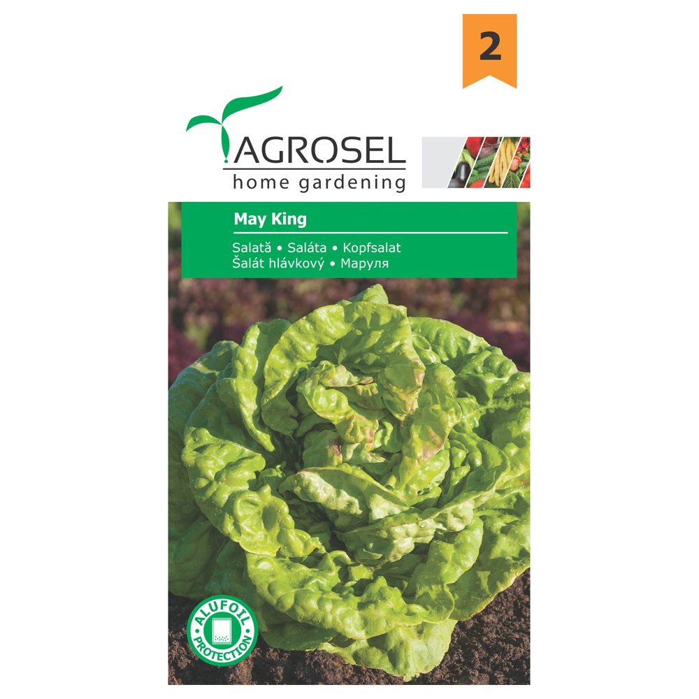 Seminte salata May King  Agrosel