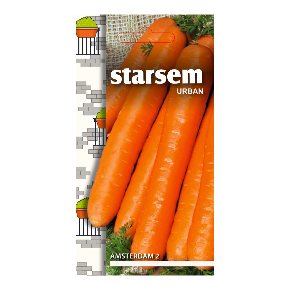Seminte morcovi Amsterdam 2  Starsem