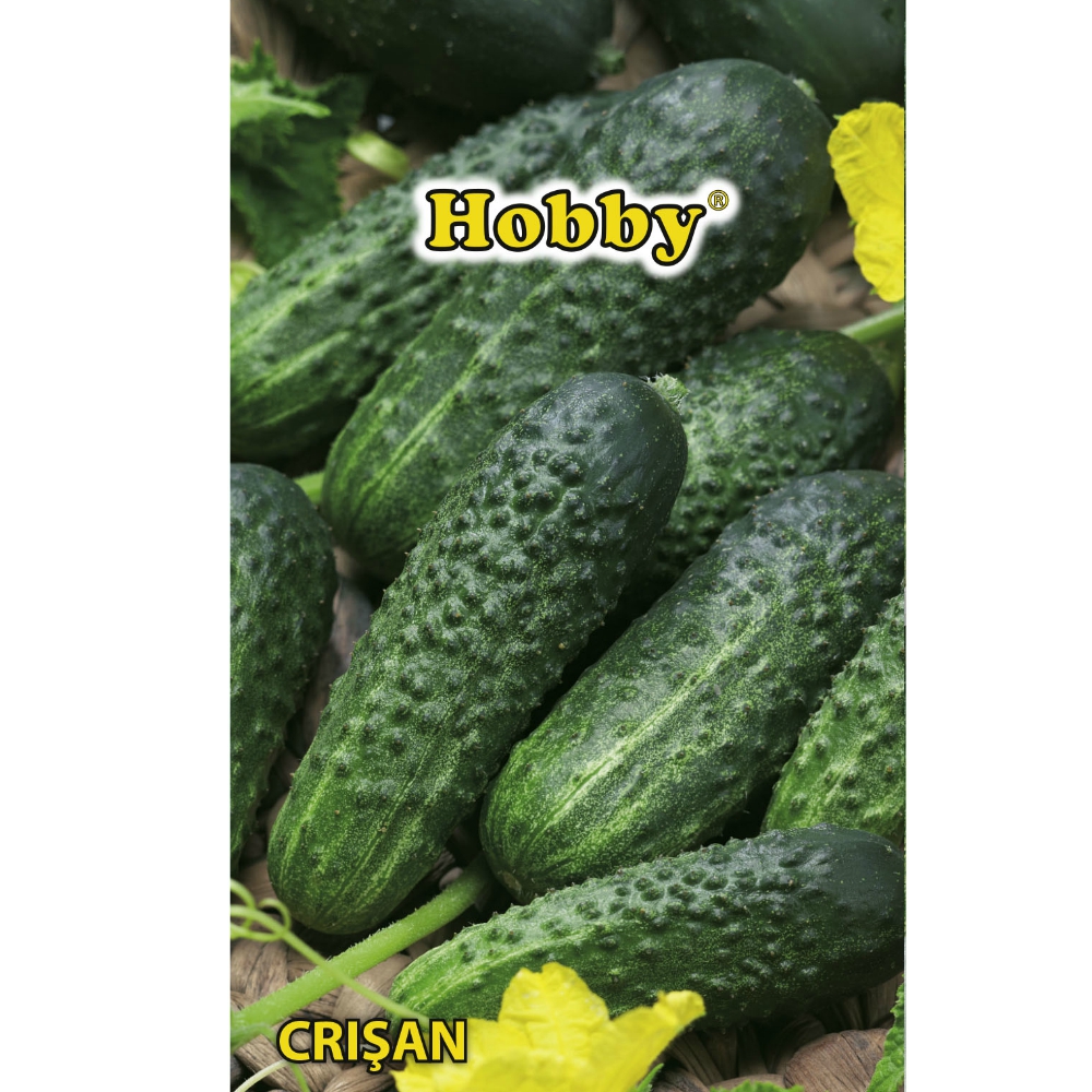 Seminte castraveti  Crisan AGROSEL, 3.45 g