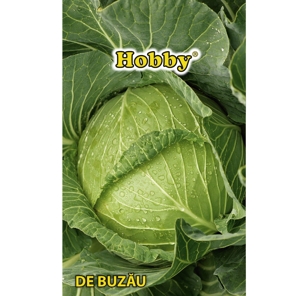Seminte varza de buzau AGROSEL, 3.45 g