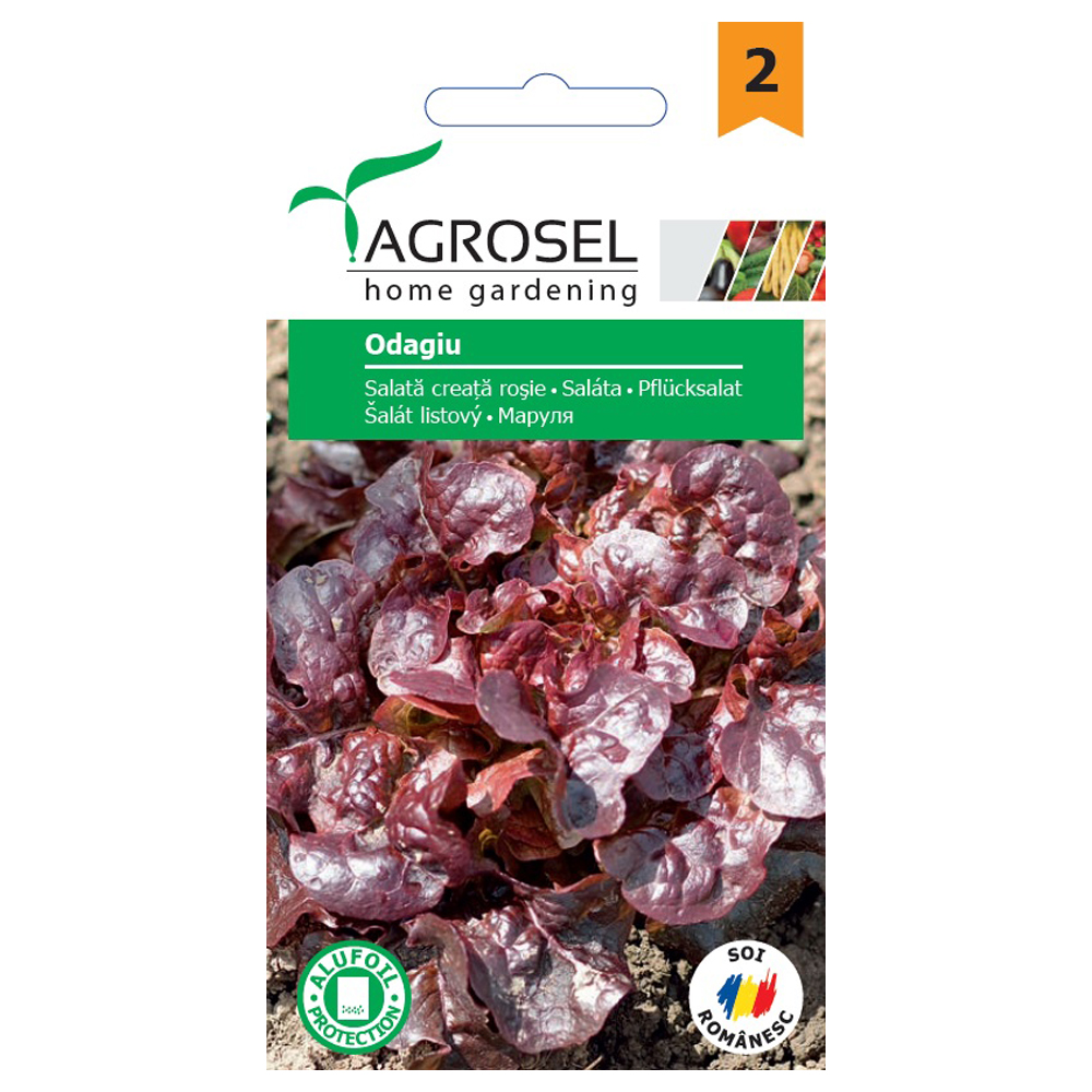 Seminte salata Rosie nou  Agrosel