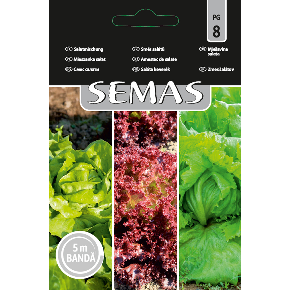 Amestec Salate Odagiu, Great Lakes, May King SEMAS, banda 