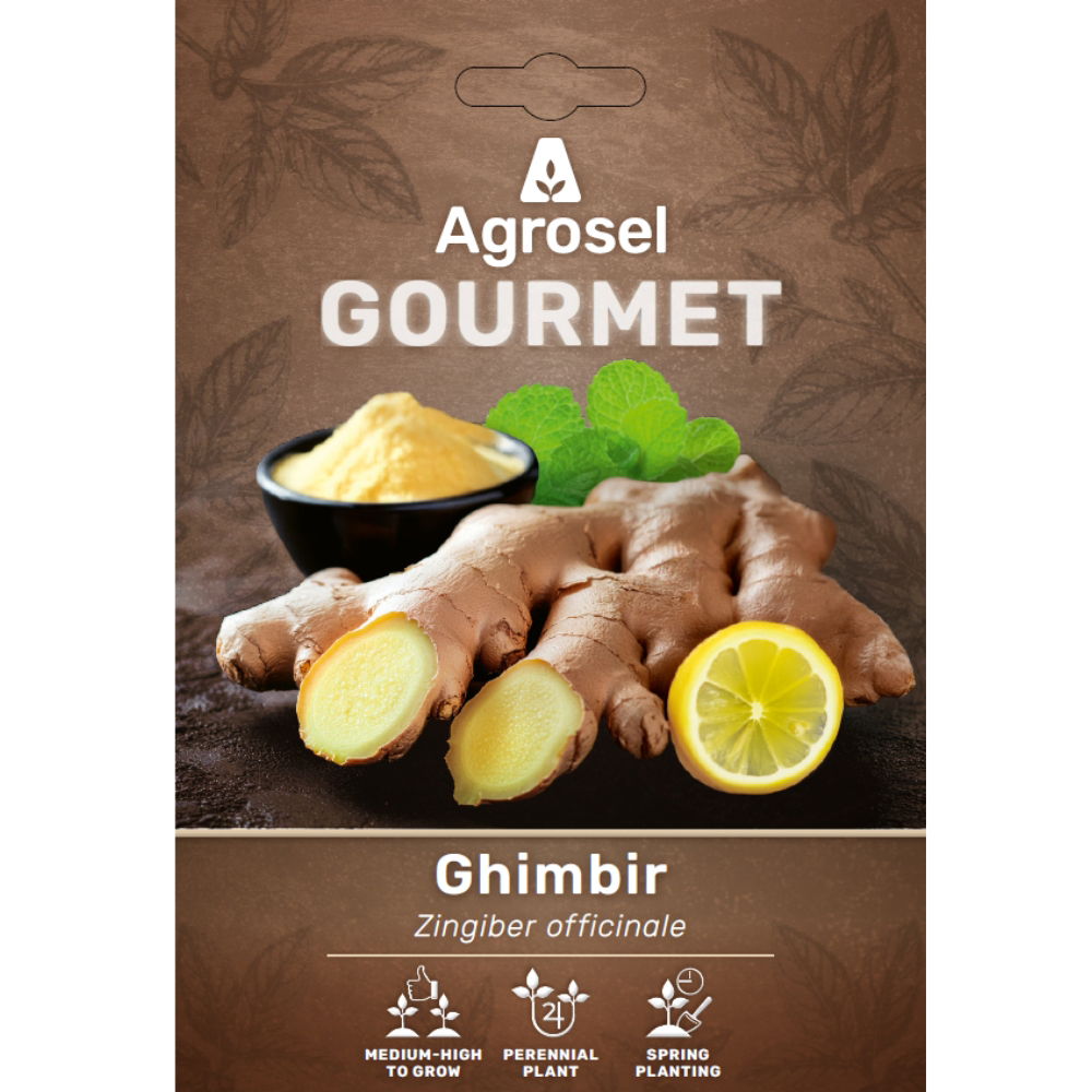 Radacina Ghimbir AGROSEL Zingiber Officinale