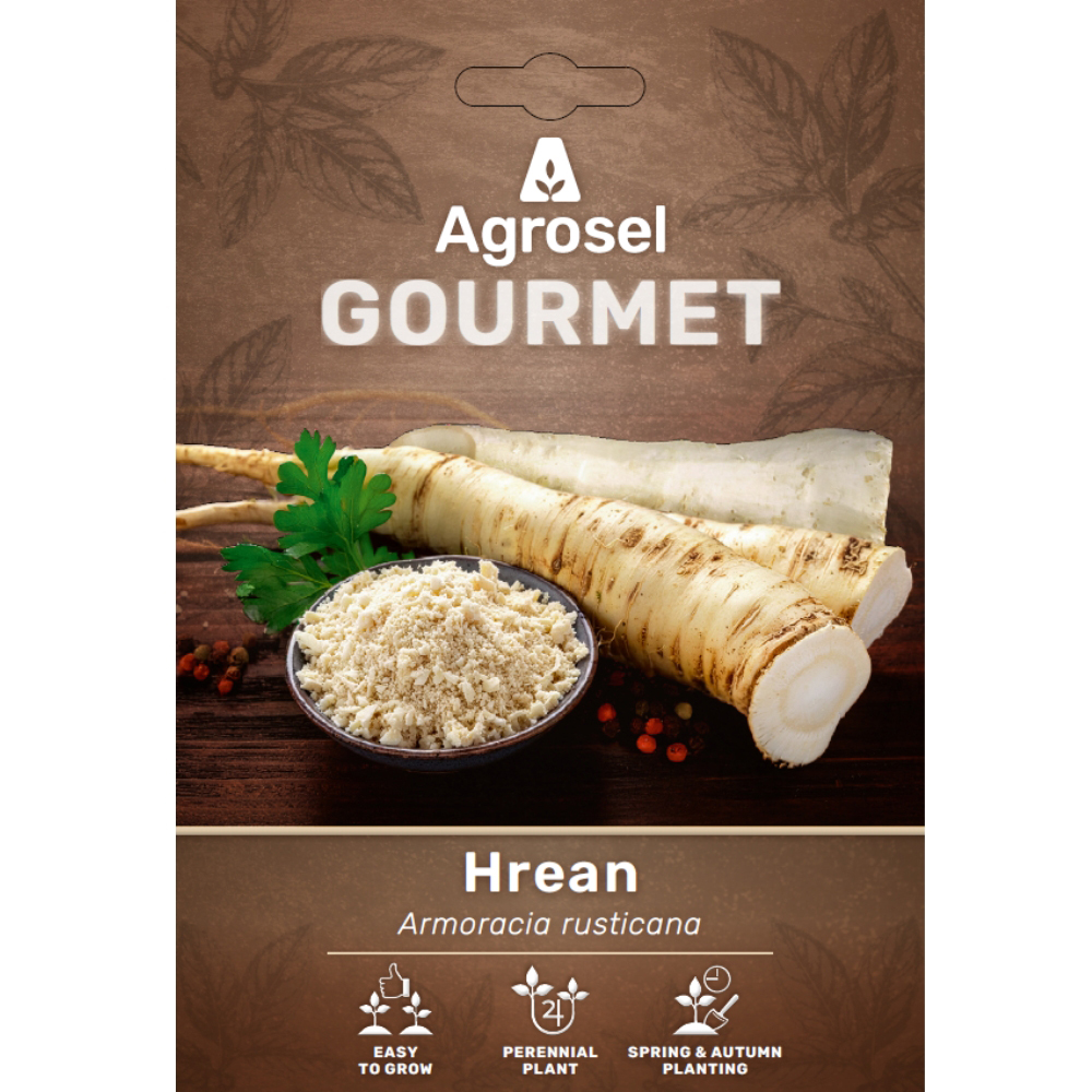Radacina Hrean AGROSEL Armoracia Rusticana